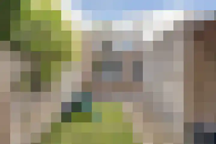 Branderij 1 Alkmaar thumbnail 19