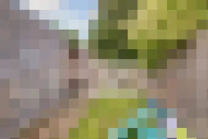 Branderij 1 Alkmaar thumbnail 20