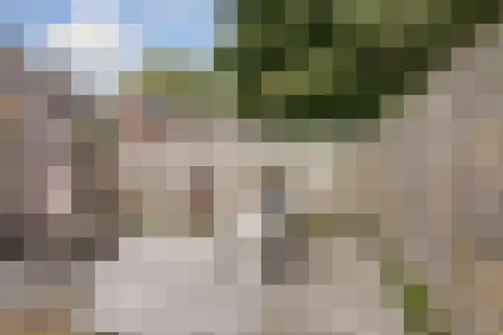 Branderij 1 Alkmaar thumbnail 23