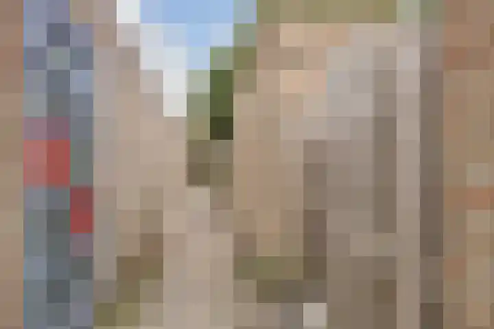 Branderij 1 Alkmaar thumbnail 26