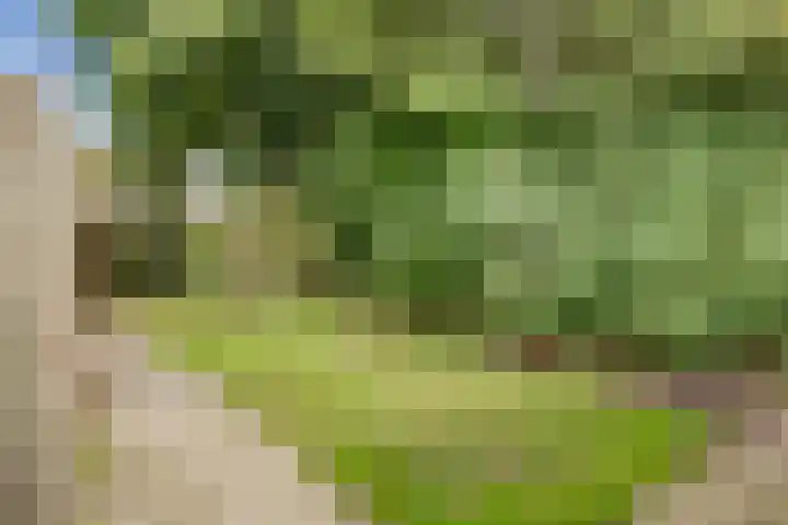 Branderij 1 Alkmaar thumbnail 27