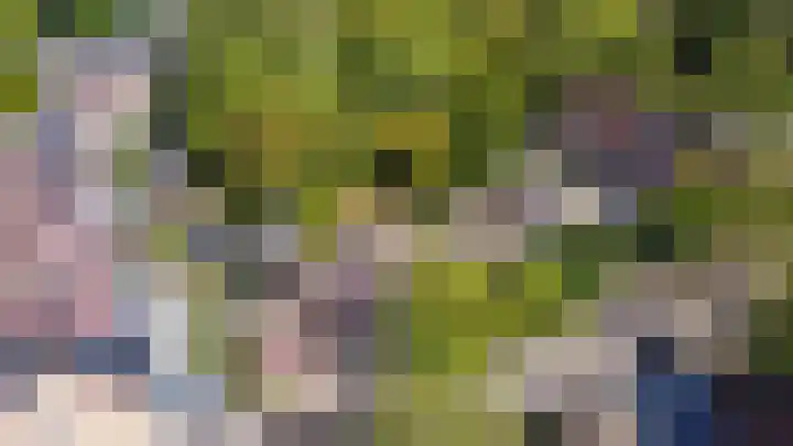 Branderij 1 Alkmaar thumbnail 28