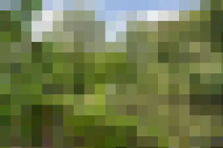Branderij 1 Alkmaar thumbnail 29