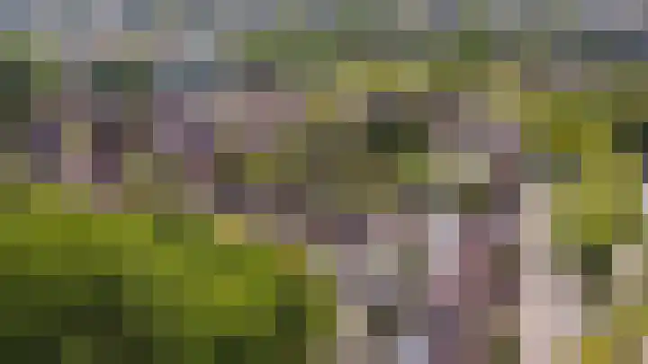 Branderij 1 Alkmaar thumbnail 30