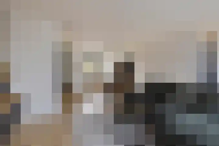 Branderijmolen 9 Helmond thumbnail 11