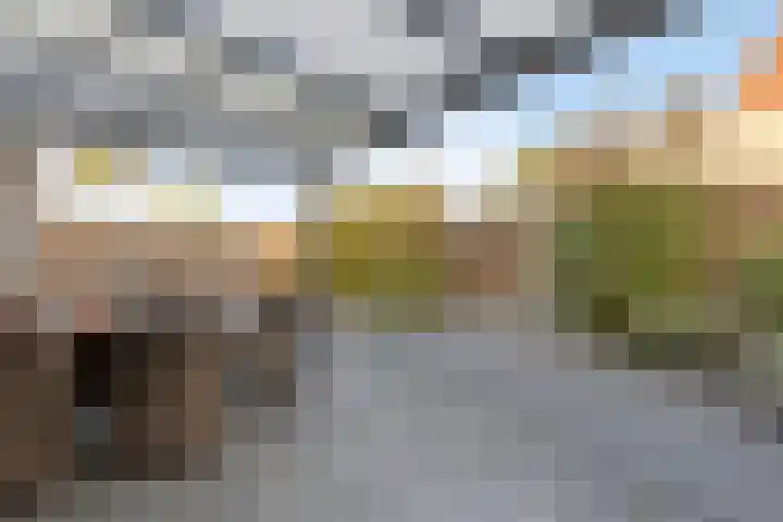Branderijmolen 9 Helmond thumbnail 32