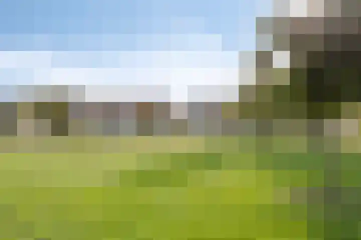 Branderijmolen 9 Helmond thumbnail 34
