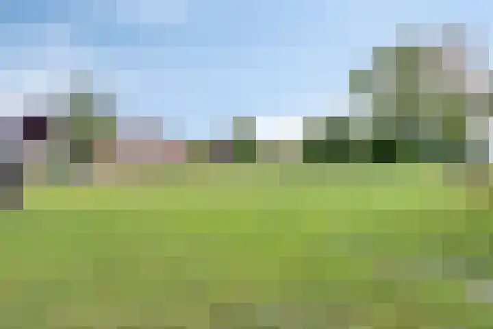 Branderijmolen 9 Helmond thumbnail 42