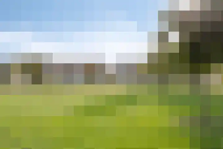 Branderijmolen 9 Helmond thumbnail 6