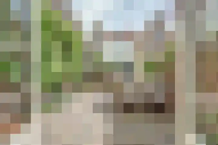 Branderijstraat 20 Vlissingen thumbnail 6