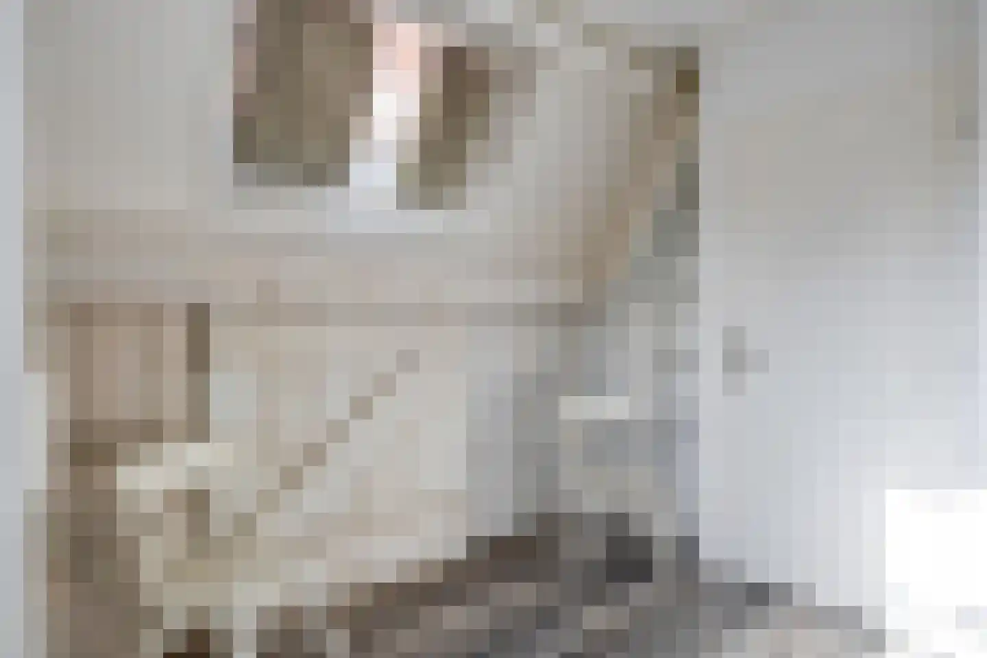 Branderijstraat 6 Vlissingen thumbnail 19
