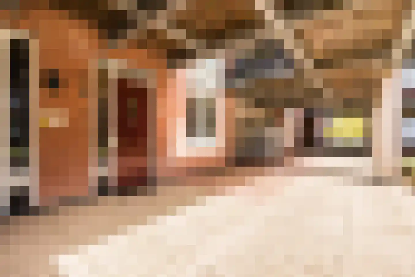Branderskamp 35 Ermelo thumbnail 35