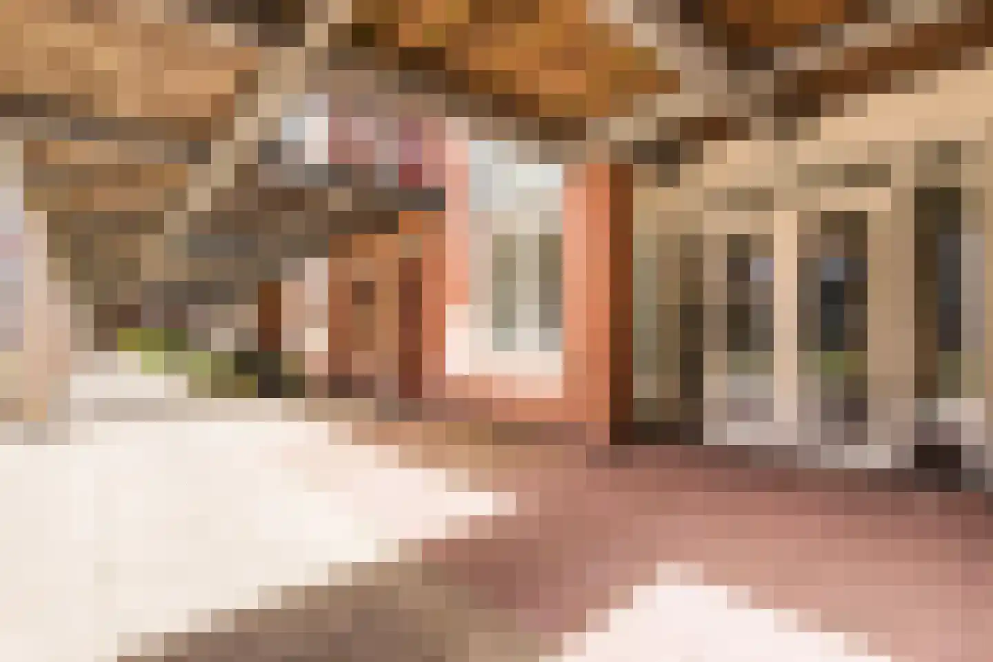 Branderskamp 35 Ermelo thumbnail 6