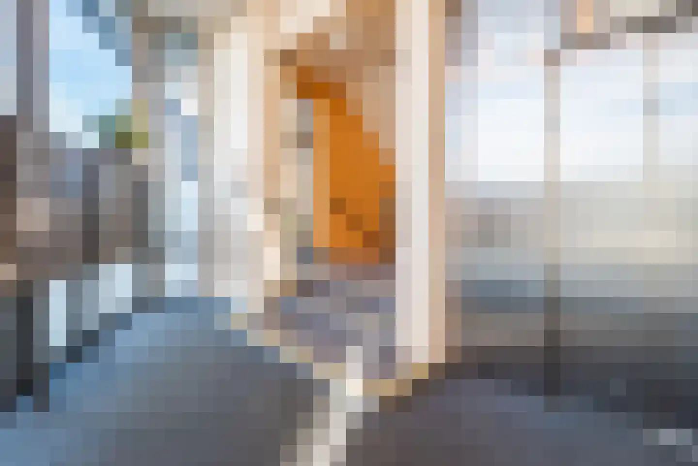 Branderskamp 36 Ermelo thumbnail 5