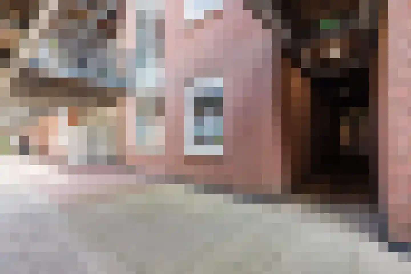 Branderskamp 36 Ermelo thumbnail 7