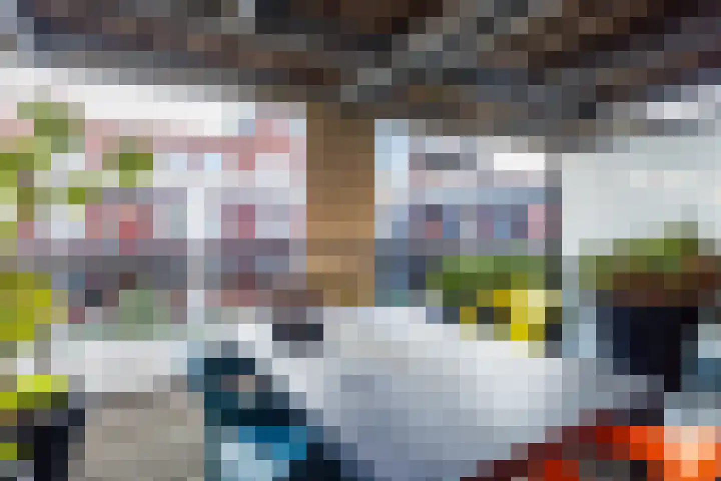 Branderskamp 57 Ermelo thumbnail 19
