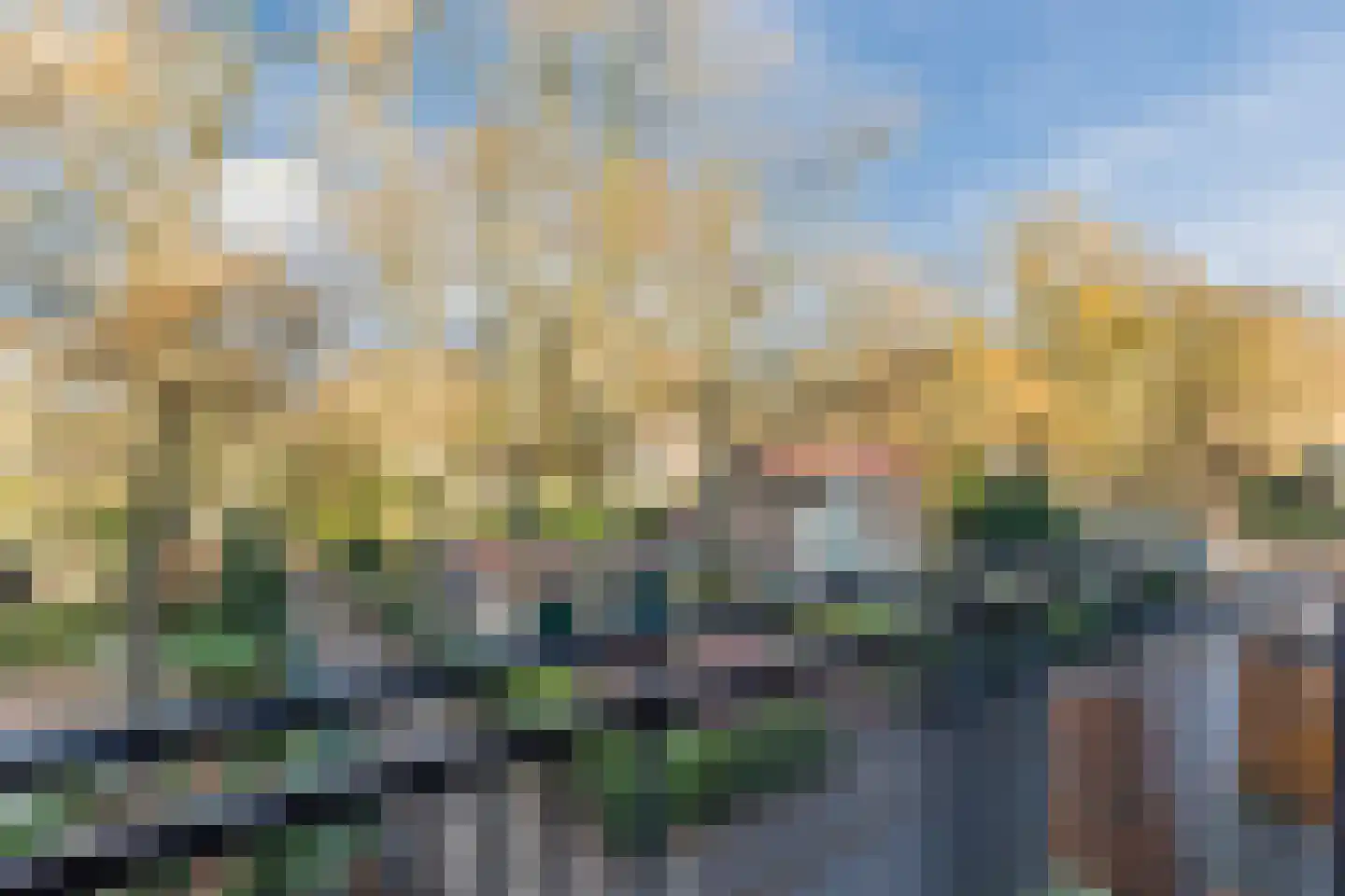 Branderskamp 57 Ermelo thumbnail 32