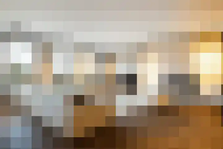 Branderskamp 68 Ermelo thumbnail 14