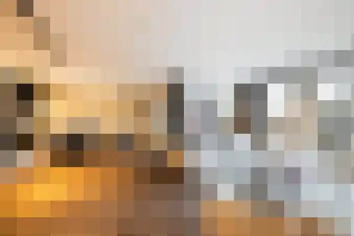 Branderskamp 68 Ermelo thumbnail 16