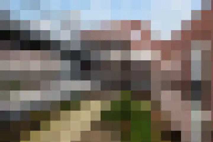 Branderskamp 68 Ermelo thumbnail 4