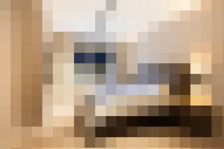 Branderskamp 68 Ermelo thumbnail 46