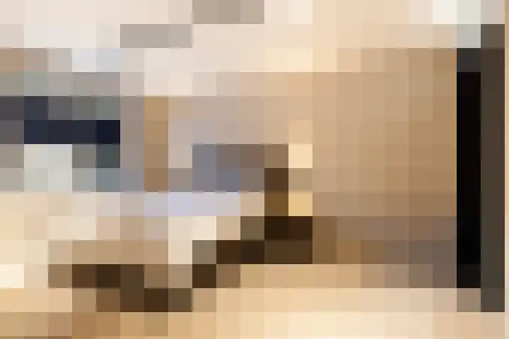 Branderskamp 68 Ermelo thumbnail 47