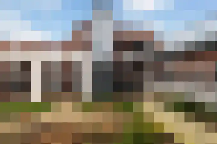 Branderskamp 68 Ermelo thumbnail 60