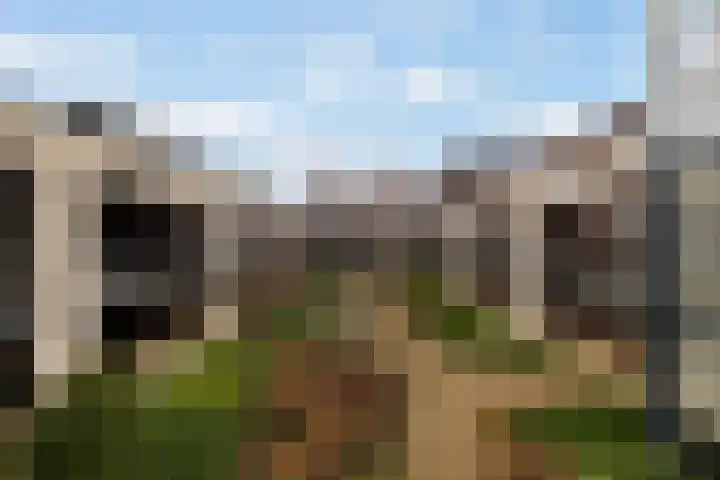 Branderskamp 68 Ermelo thumbnail 61