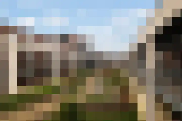 Branderskamp 68 Ermelo thumbnail 62