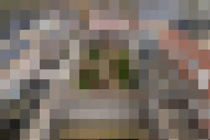 Branderskamp 68 Ermelo thumbnail 65