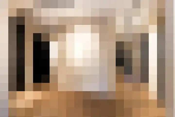 Branderskamp 68 Ermelo thumbnail 7