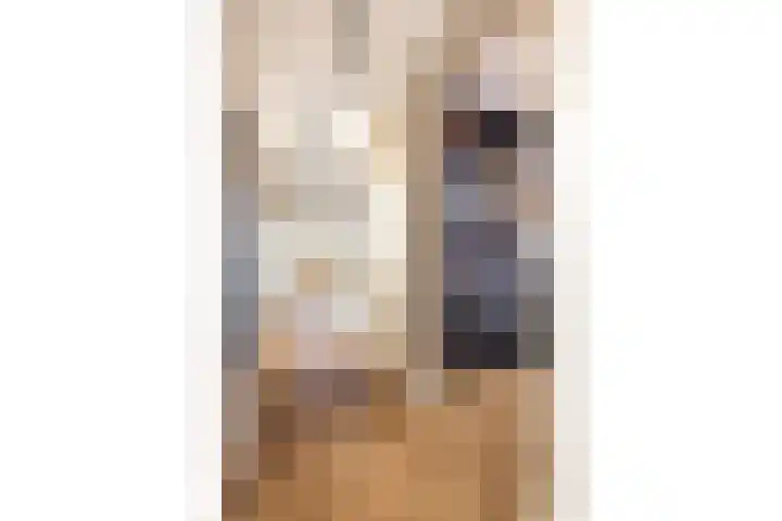 Branderskamp 68 Ermelo thumbnail 8