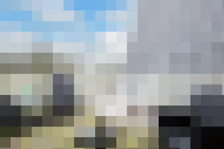 Branderskamp 78 Ermelo thumbnail 10