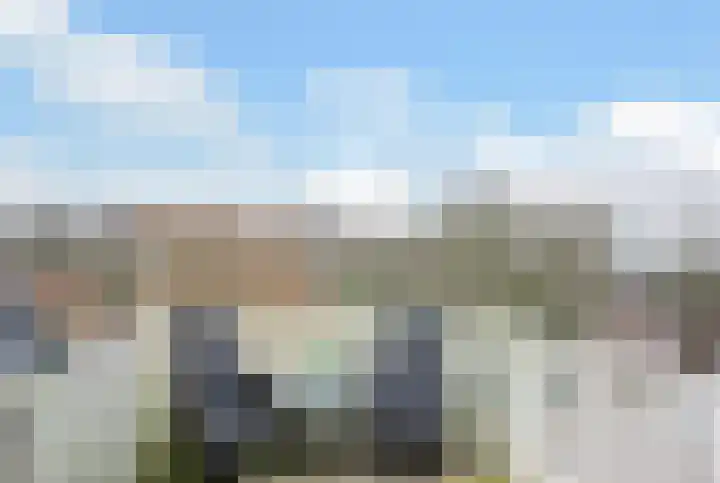 Branderskamp 78 Ermelo thumbnail 11