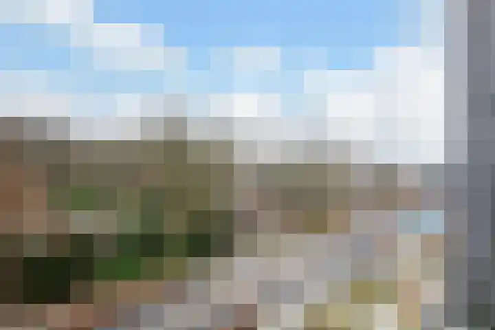 Branderskamp 78 Ermelo thumbnail 12
