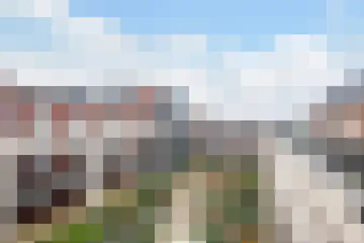 Branderskamp 78 Ermelo thumbnail 23