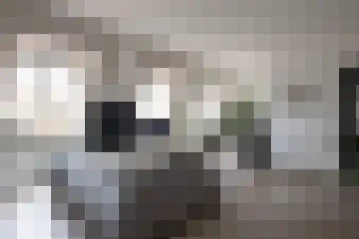 Branderskamp 78 Ermelo thumbnail 6