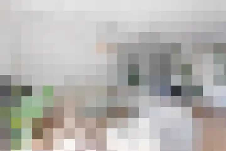 Branderskamp 81 Ermelo thumbnail 13