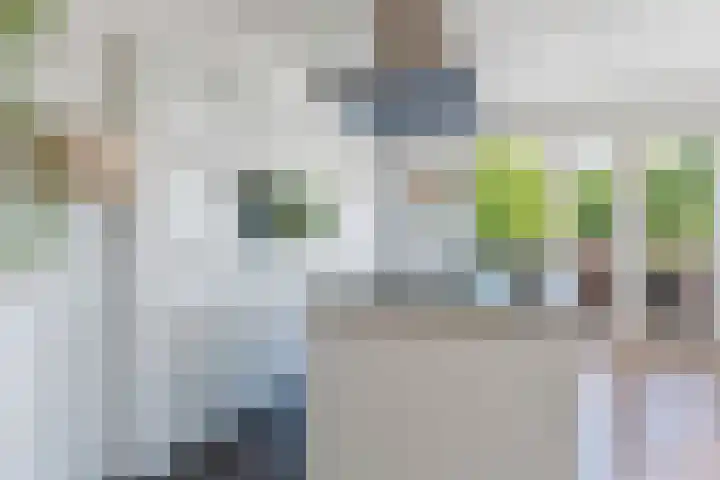 Branderskamp 81 Ermelo thumbnail 19