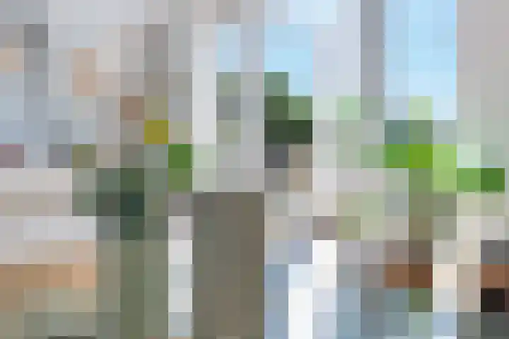 Branderskamp 81 Ermelo thumbnail 21