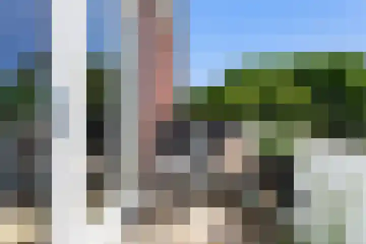 Branderskamp 81 Ermelo thumbnail 22