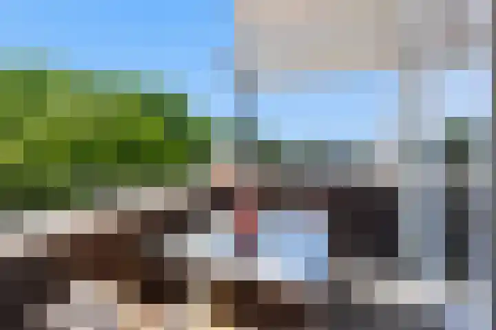 Branderskamp 81 Ermelo thumbnail 24