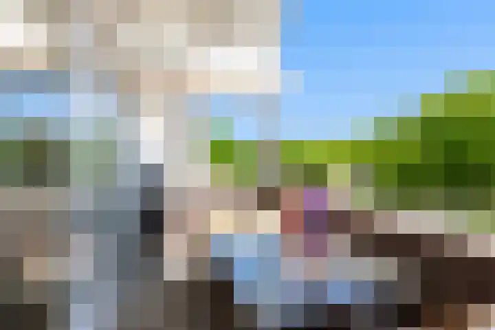 Branderskamp 81 Ermelo thumbnail 25