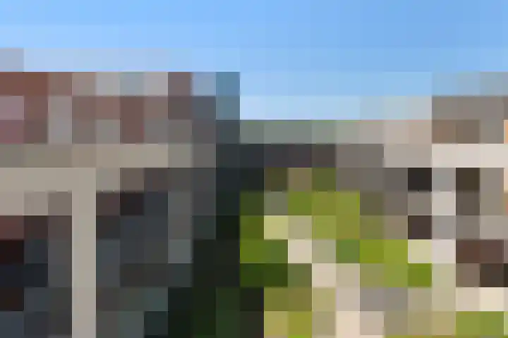 Branderskamp 81 Ermelo thumbnail 27