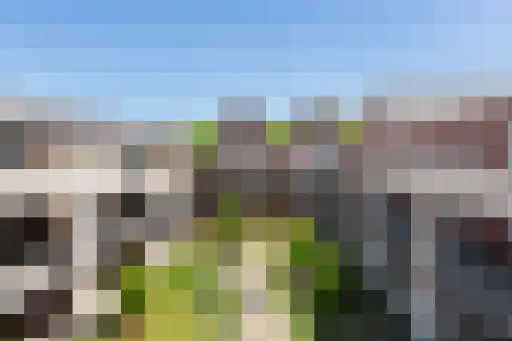 Branderskamp 81 Ermelo thumbnail 28