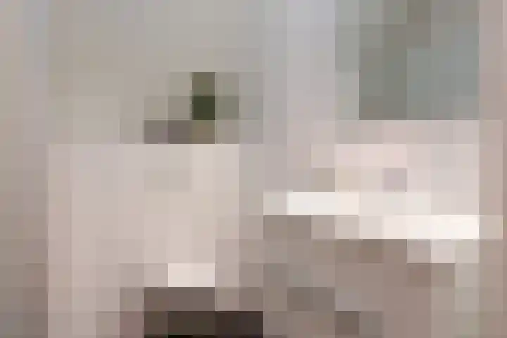 Branderskamp 81 Ermelo thumbnail 42
