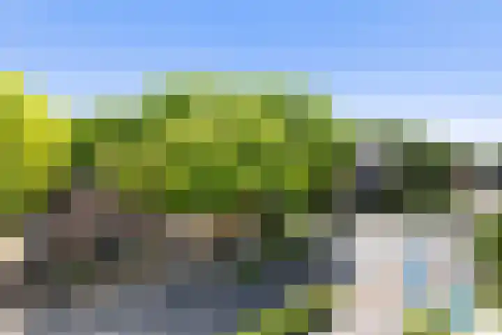 Branderskamp 81 Ermelo thumbnail 50
