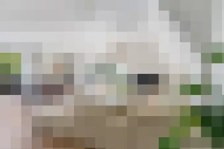 Branderskamp 81 Ermelo thumbnail 7
