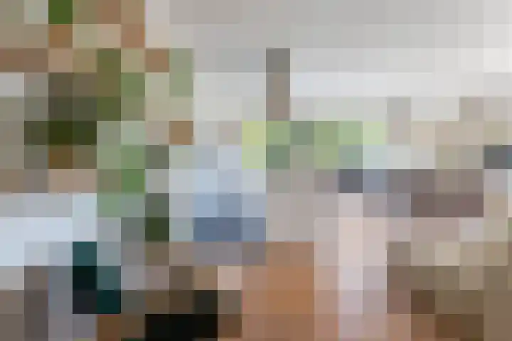 Branderskamp 81 Ermelo thumbnail 8