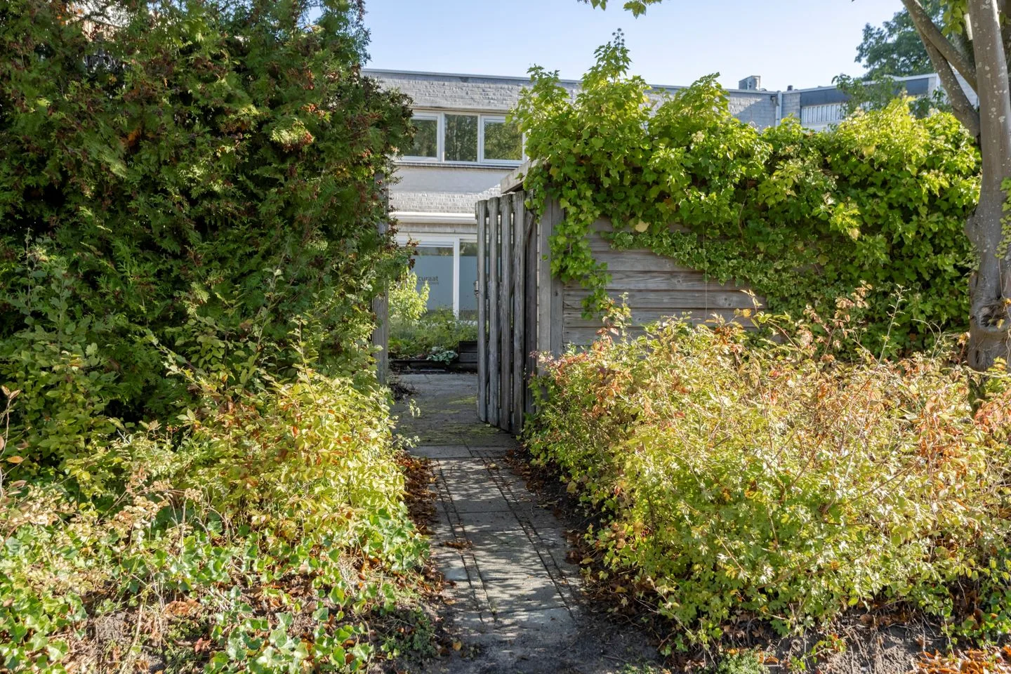Brandersmolenstraat 29 Almere thumbnail 55